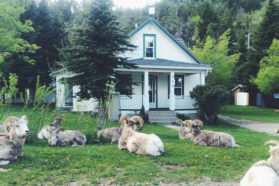 10731120_10155686181610338_9065165306250435151_n