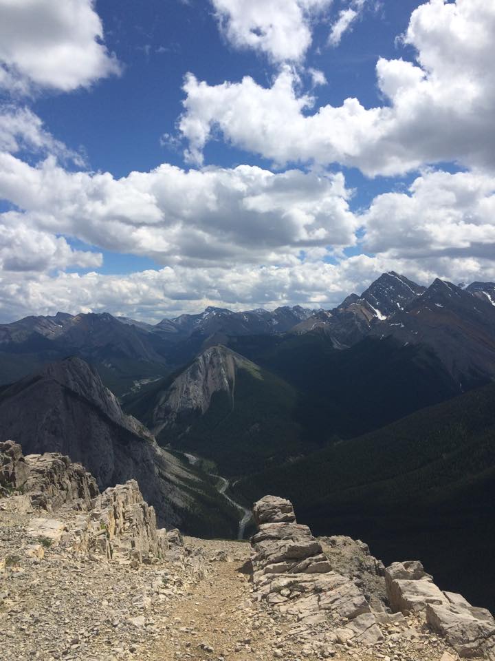 11221723_10153346518687158_548382421801399533_n