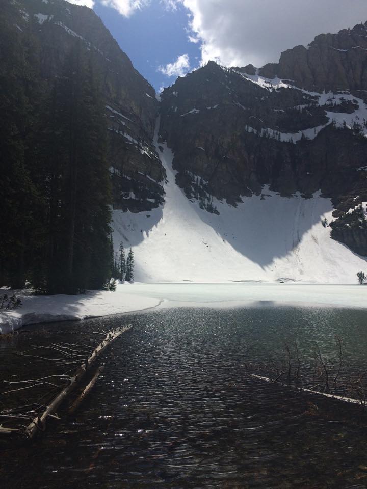 11351345_10153292913197158_1394333010482692403_n