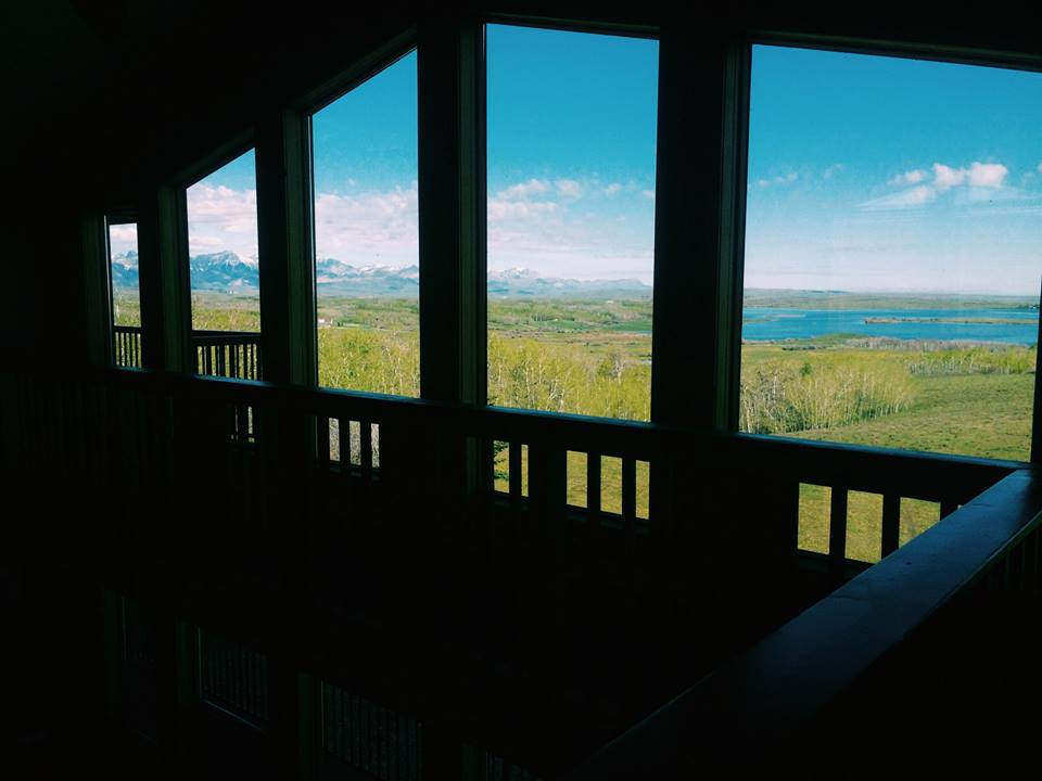 11390135_10155686182380338_3769045268225778337_n