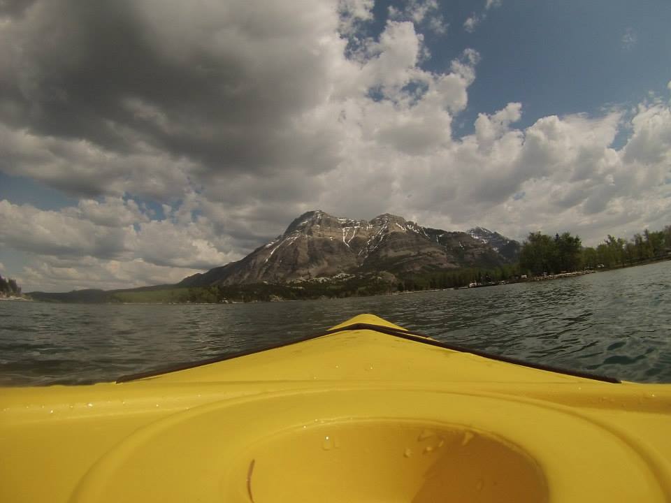 11390296_10155618789590481_7658499551266433659_n