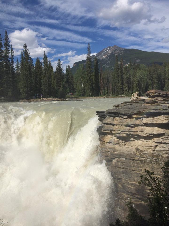 11390525_10153324303137158_982008966777465588_n