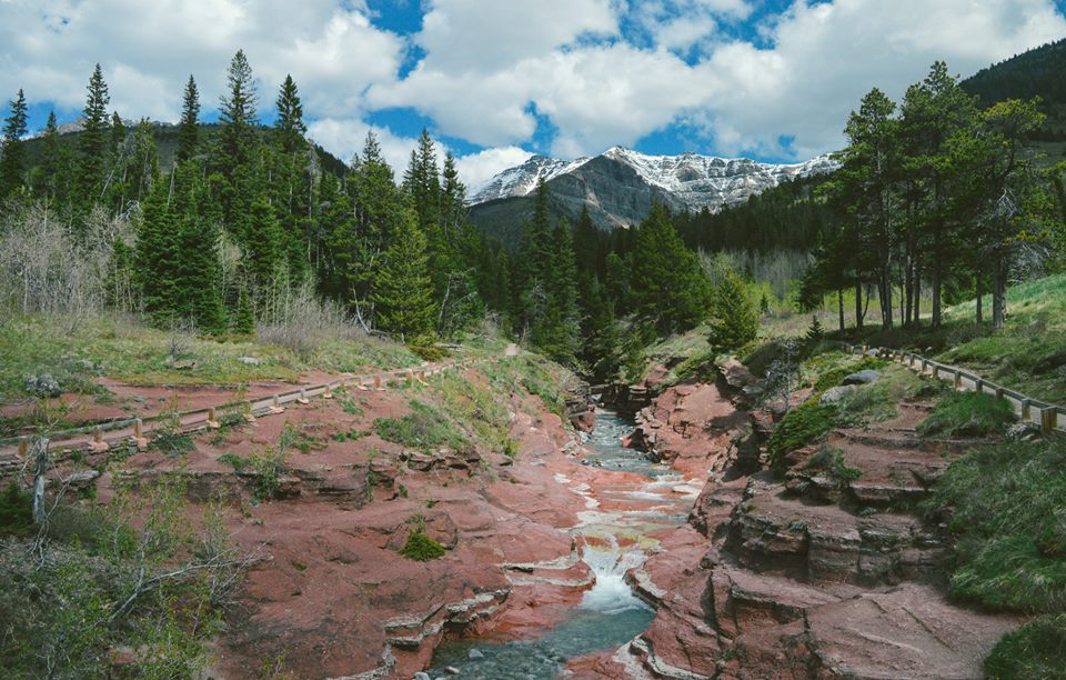 11665511_10155795940890338_36031653344747947_n