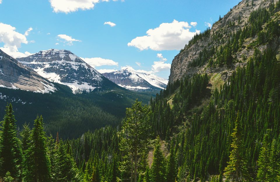 11693930_10155791388570338_3041928251896829160_n