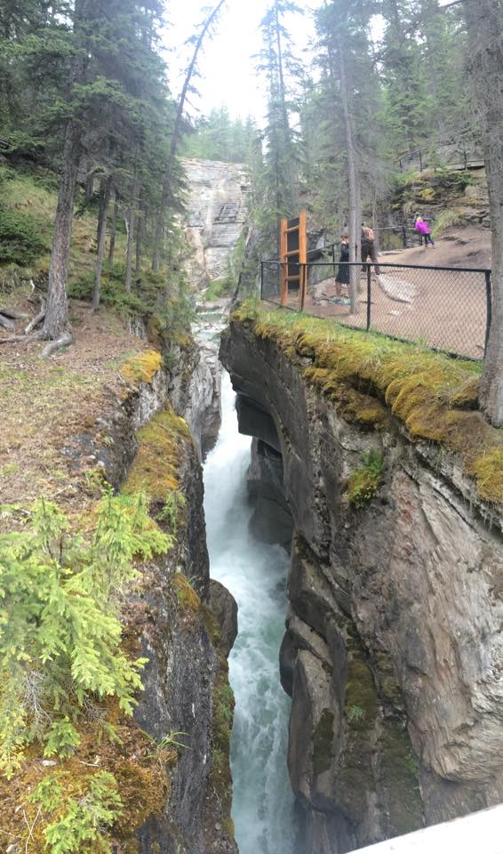 1383563_10153346518597158_8001425193371297719_n