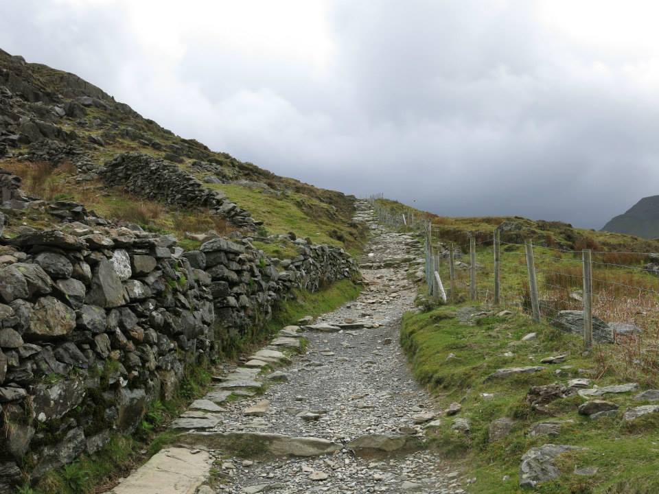 1005758_733468796705286_8240003743430620149_n