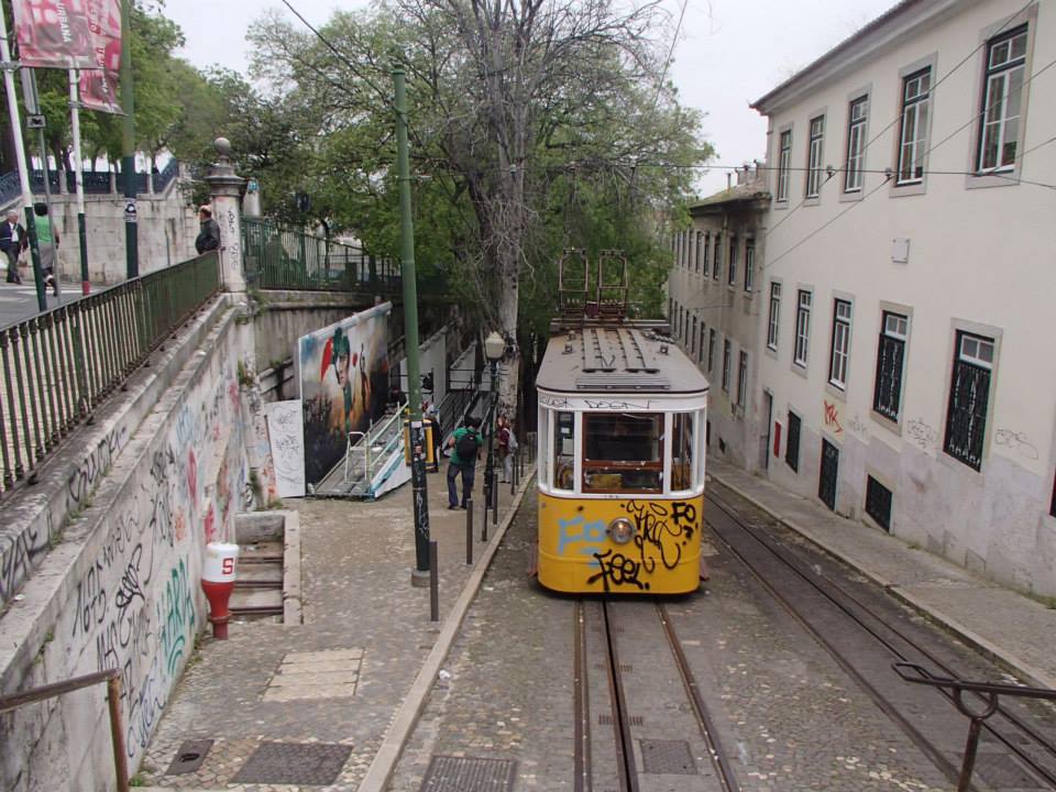 10177310_10152356554102158_364208150141468452_n