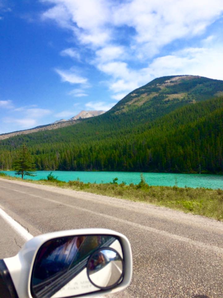 11986585_10153526441397158_1275051938442057690_n