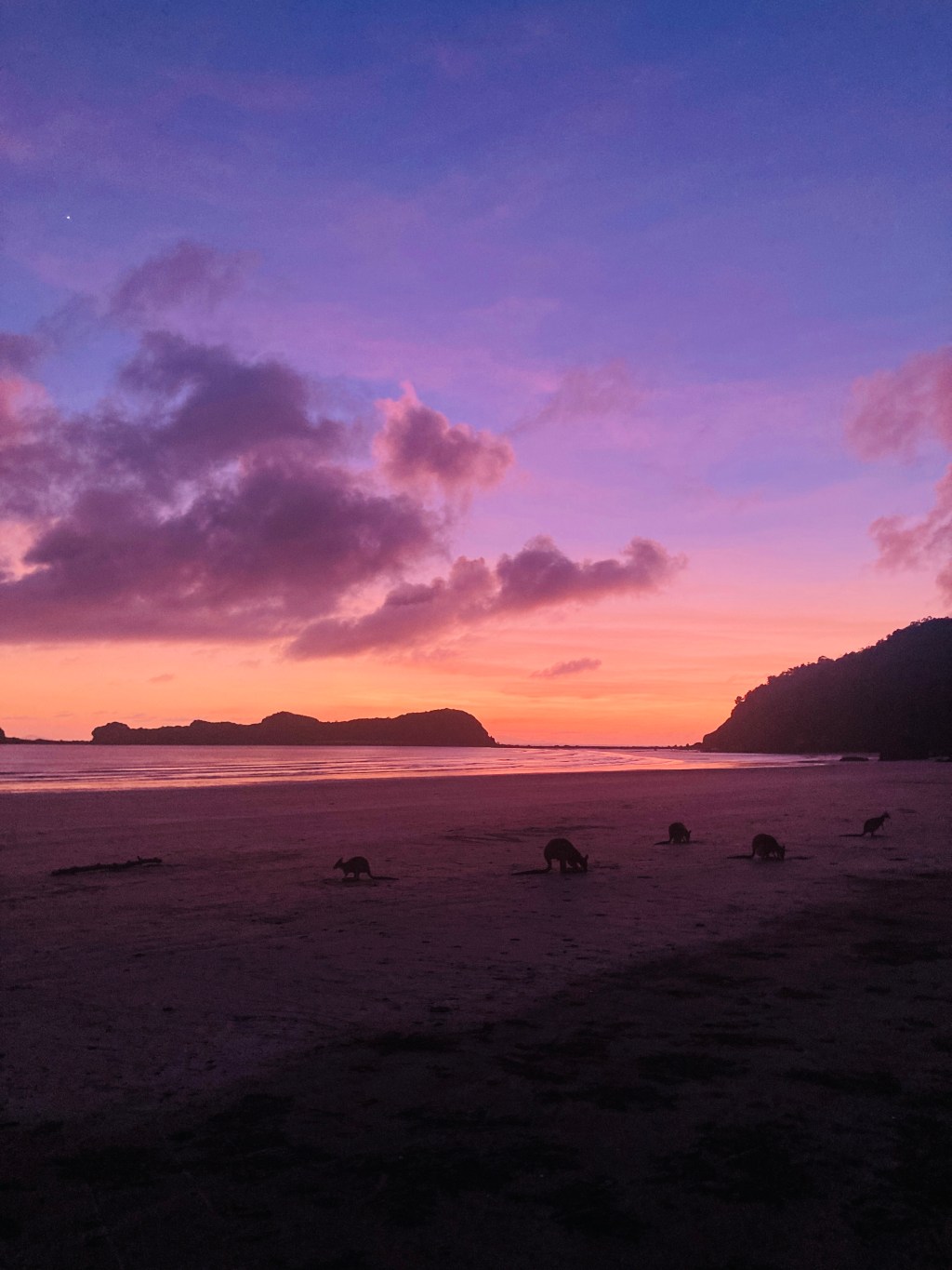 Central Queensland Road Trip Part 2: Explorations in Cape&nbsp;Hillsborough