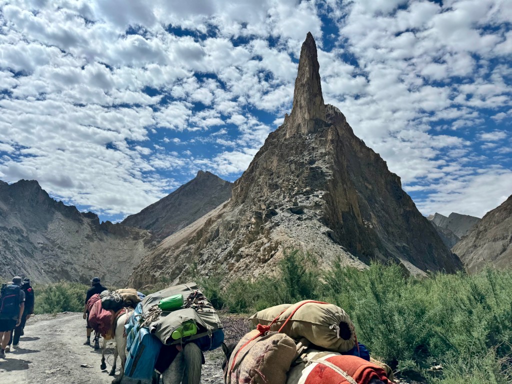 High Passes, Hidden Wonders, and Himalayan Magic in Leh,&nbsp;Ladakh